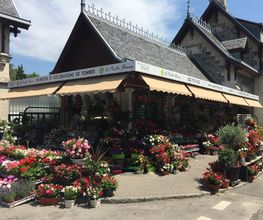 A. Pinto Fleurs Bild 5