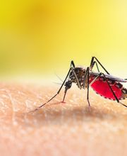 OPC Pest Services - Louisville image 6