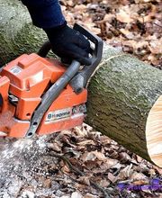 R.Evan Elagage Abattage image 8