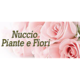 Nuccio Piante e Fiori di Natale Scaccio logo