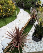 L allée des verts image 2