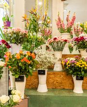 Floraly image 1