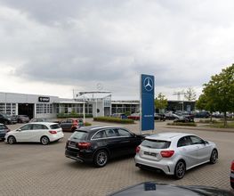 STERNAUTO Bild 11