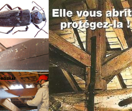 Protrat SAS image 18