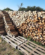 Rhône-alpes-bois image 3