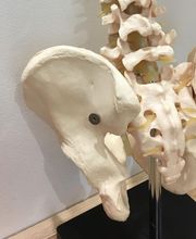 Outré Célia image 4