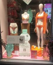 Calzedonia immagine 1