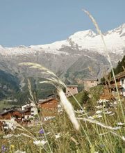 Center Reisen Bild 2