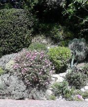 BOURJAC ELAGAGE image 1