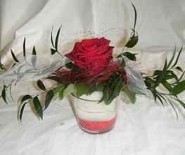 Gärtnerei Götz Bild 6