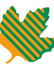 Pius Gloggner Gartenbau AG Bild 7