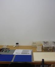 235024239-1-kPNTrFyZVj1777460285029.jpeg