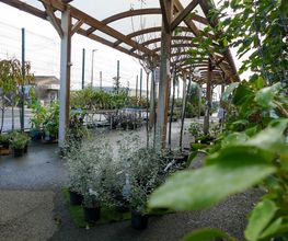 Point Vert Le Jardin image 8