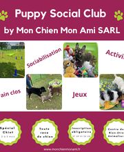 Mon Chien Mon Ami Sarl image 15