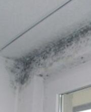 Jörg Bauunternehmen GmbH Bild 5