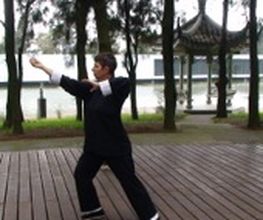 Tai Chi Chuan Bild 2