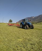 Infanger Alexander GmbH Bild 5