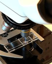 Freiburghaus, Animal Health Services Bild 5