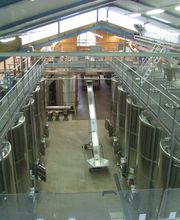 René Fourrichon image 9