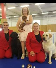 EARL La Passe De l'Eider image 2