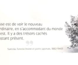 Cabinet Des Fayards Bild 8