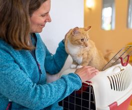 Tierarzt Eckernförde, Tierarztpraxis Heldt Bild 9