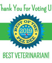 Palmetto Animal Hospital image 8