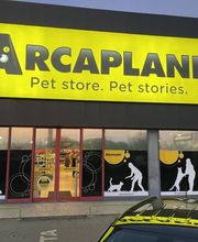 Arcaplanet immagine 1