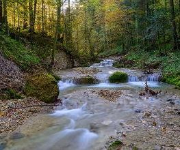 Scheidegger Wasserfälle Bild 4