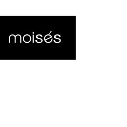 MOISES.jpg