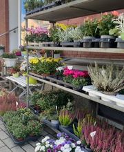 Blumeneck Weischlitz Bild 2