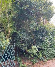 Rousset Services image 3