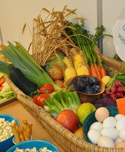 Kita KiBiZ Geroldswil Bild 6