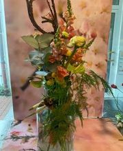 Blumen Dahlmann Bild 20