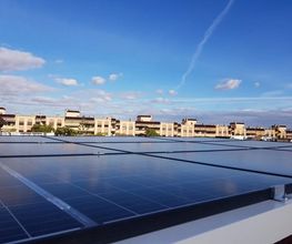Sysefen imagen 6