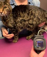 Univet Les Tanneries image 4