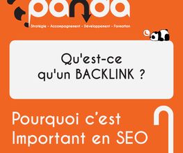 Panda SEO image 5