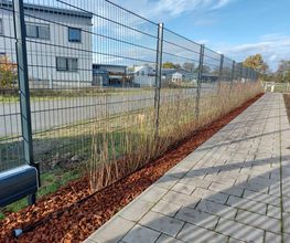 Heckenpflanzungen im Herbst