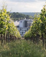 Holiday Inn - the niu, Form Stuttgart Feuerbach by IHG Bild 6