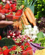 Jardins d'Imbermais image 1