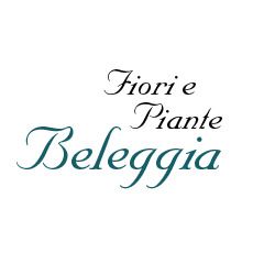 Beleggia Elisa Fiori e Piante logo