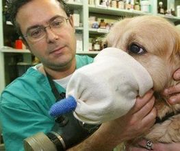 Clínica Veterinaria Villaluenga imagen 2