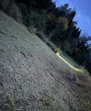 Grünlandpflege Fischer Bild 3