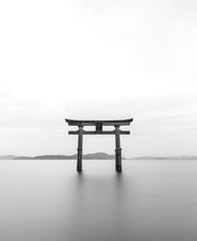 Laetitia Zahra Bianchi image 1