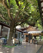 la Table des Dombes image 6