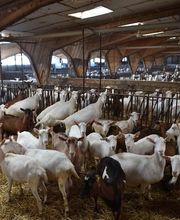 Seigneuret SARL image 6