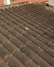 Damien Schied image 4