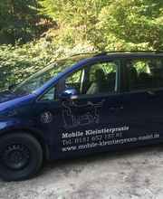 Mobile Kleintierpraxis Dr. A. Madel Bild 1