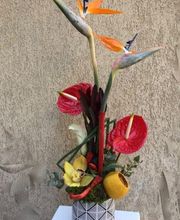Le Tournesol image 20