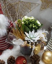 Rambert Fleurs image 7